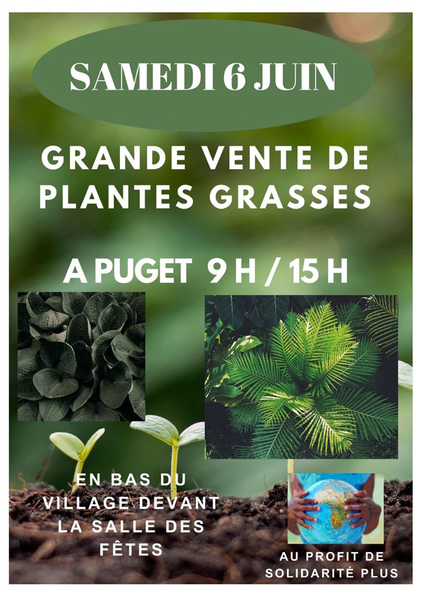Plantes